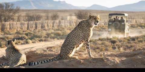 5-Day Luxury Ivory Moon Lodge Safari in the Kruger