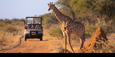 3-Day Luxury Ivory Moon Lodge - Fly in from Cape Town