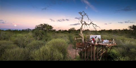 4-Day Luxury Sabi Sands Safari & Treehouse Sleep-out