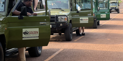 3-Day Rwanda Gorilla Trekking