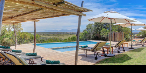 3-Day Luxury Sanbona Tilney Cape Town Safari