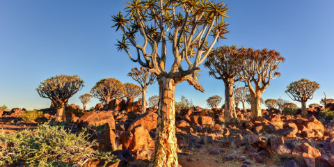 7-Day Southern Namibia Adventurer