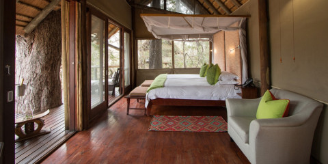 4-Day Rhino Post Lodge Fly-in Safari from Cape Town