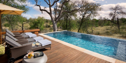 4-Day Luxury Timbavati Rockfig Safari Lodge Tour