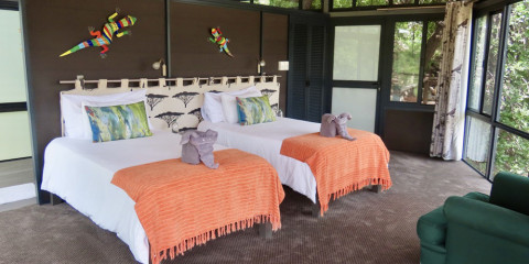 4-Day Greenfire Lodge Fly-in Safari from Cape Town
