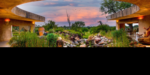 3-Day Luxury Sabi Sabi Earth Lodge Safari