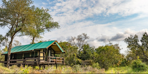 3-Day Manyeleti Ndzhaka Tented Camp Experience
