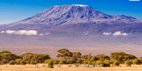 3-Day Amboseli -Explore the Land of the Legendary Craig