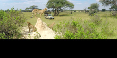 8-Day 3 Countries - Chobe NP, Victoria Falls & Hwange NP