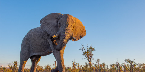 4-Day Kruger National Park & Panorama Safari