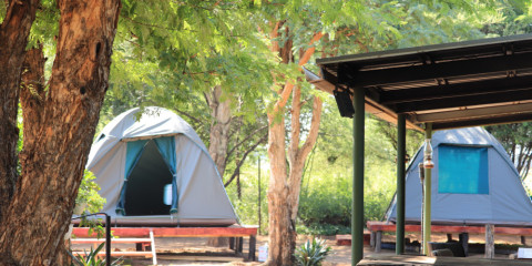 4-Day Tlou Tented Safari Camp