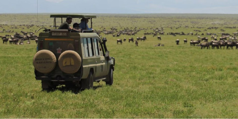 4-Day Mara River Migration Special Safari - Mid Range