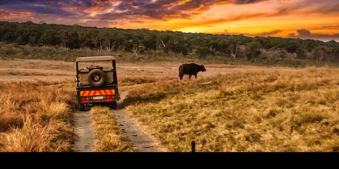 ½-Day From Livingstone, 3 Hour Game Drive in Zambezi NP