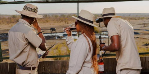 ½-Day Guided Tour to Vic Falls Bridge + High Tea Safari