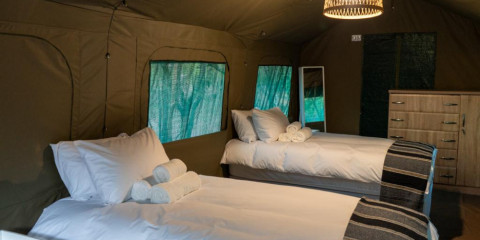 2-Day Kruger Glamping Budget Safari