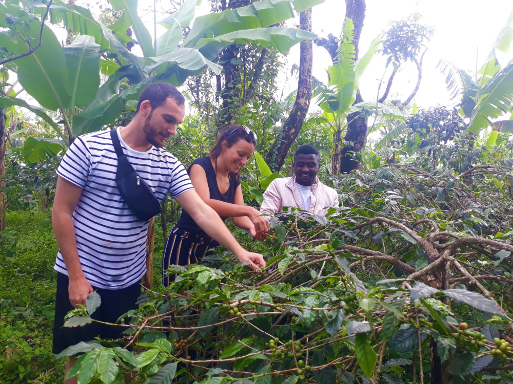 Materuni Waterfalls & Coffee Tour in Moshi