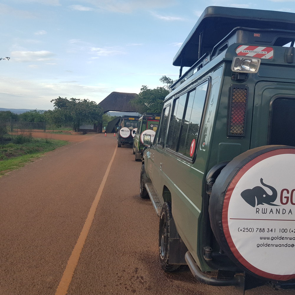 Rwanda Gorilla Trekking & Akagera National Park