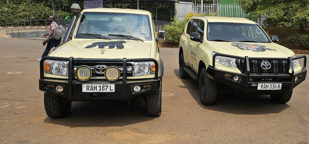 Nyungwe National Park Safari Experiences