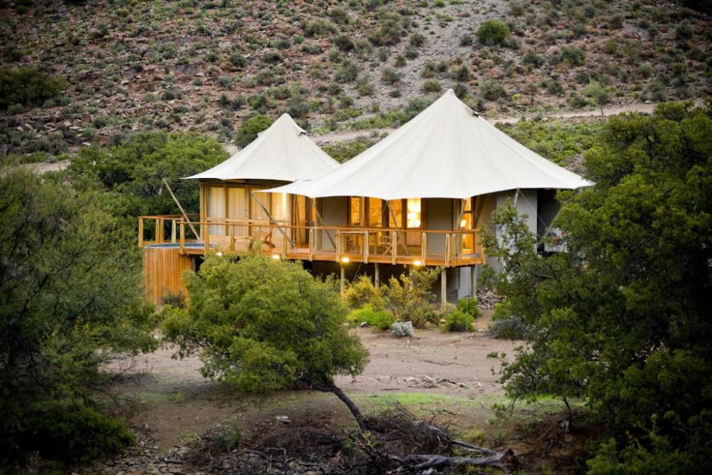 Luxury Sanbona Dwyka Tented Lodge Cape Town Safari