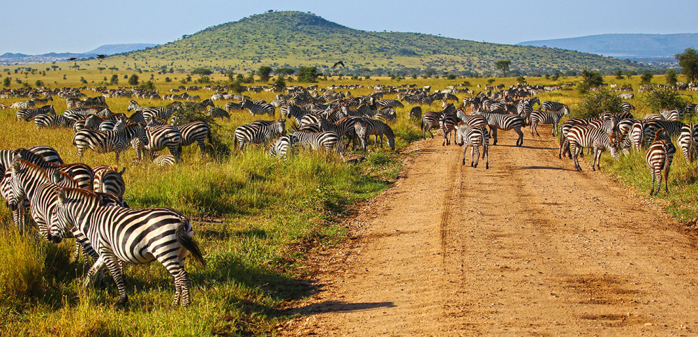 Unveiling Tanzania's Natural Wonders Comfort