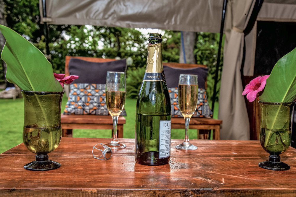 Tanzanian Safari Dream Voyage
