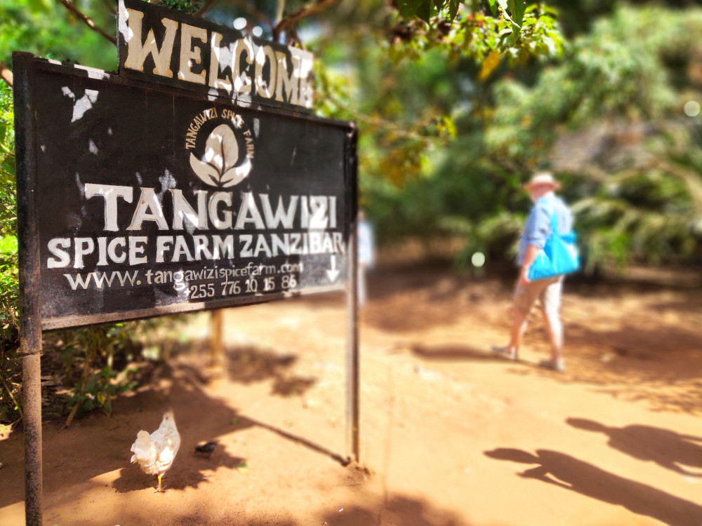 Spice Island & Safari Journey Nyerere Glamping