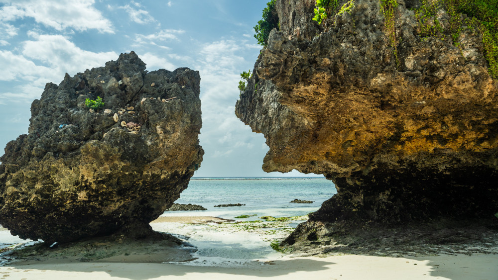 Beach & Safari Zanzibar and Lake Manyara Comfort