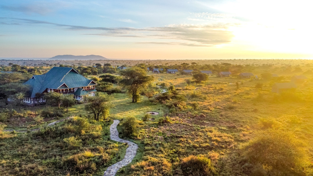 Beyond the Savannah Comfort