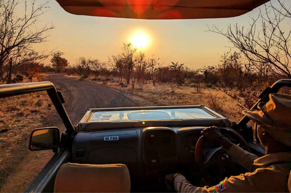 Safari Game Drive in Zambezi NP, 3 Hours