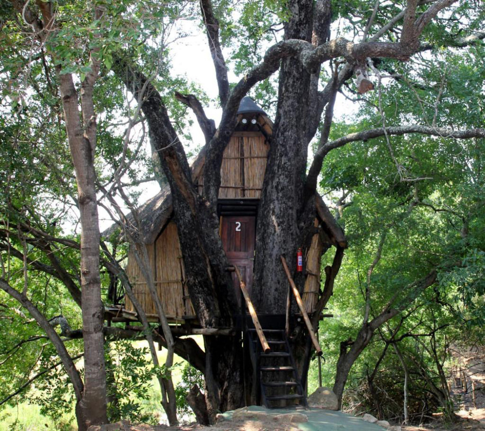 Kruger Park Treehouse Safari