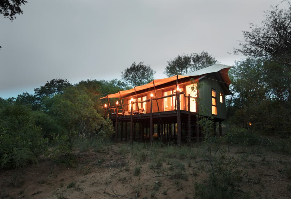 Safari at Kapama Buffalo Camp