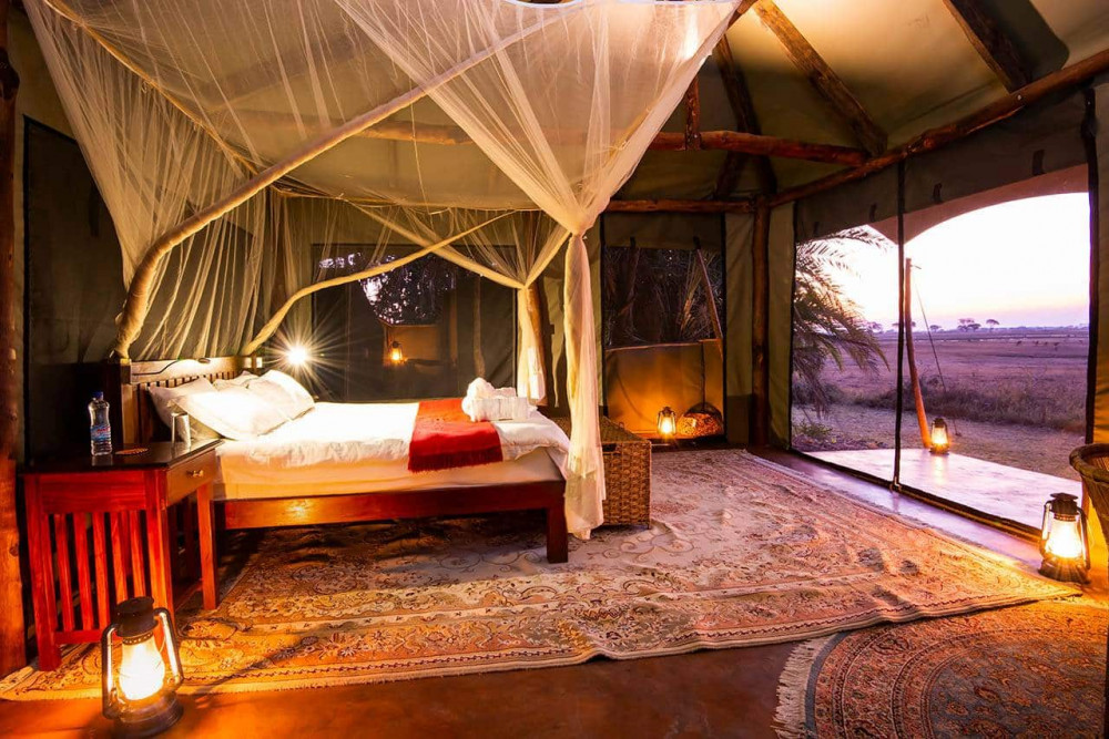 Highlights of Kafue Safari