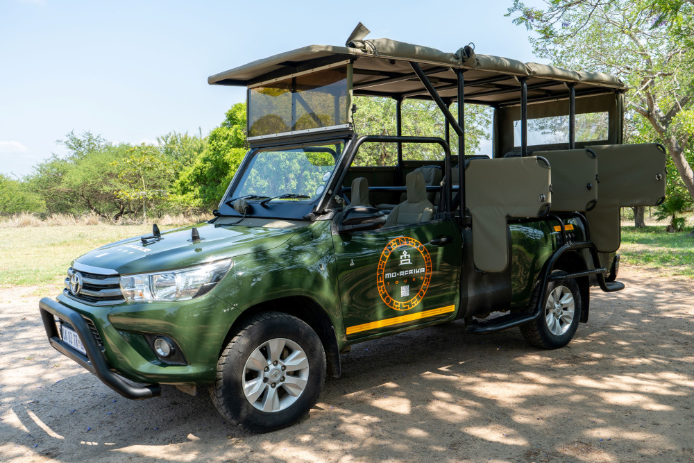 Full-Day Kruger Park Safari from Hoedspruit
