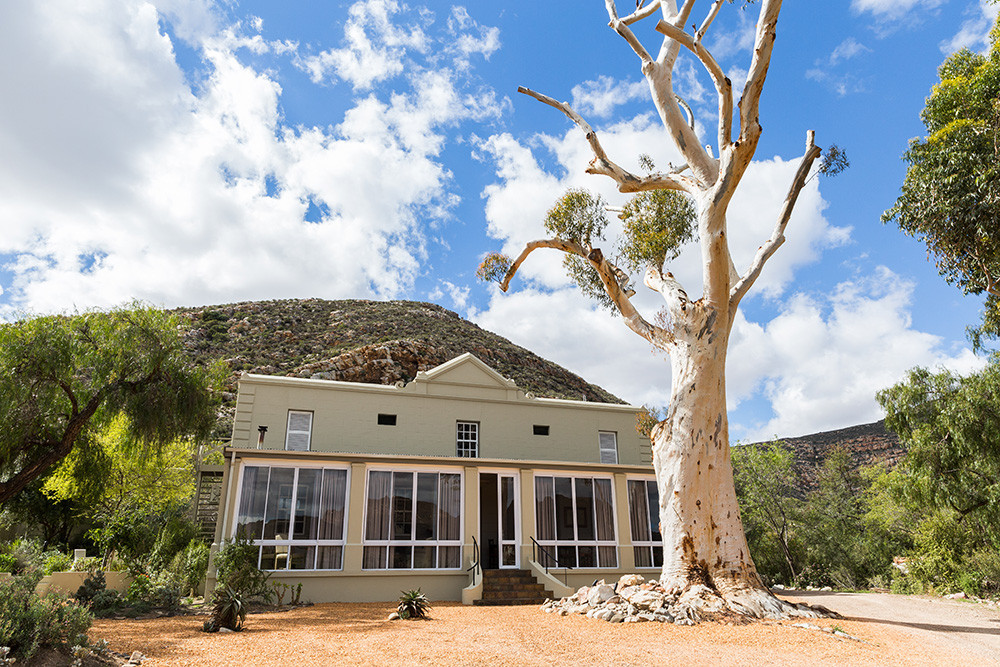 Luxury Sanbona Tinley Cape Town Safari