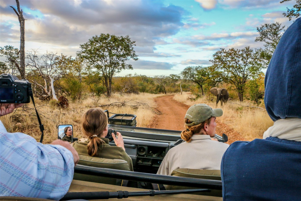 Kruger Hop Big 5 Tented Bushcamp Safari