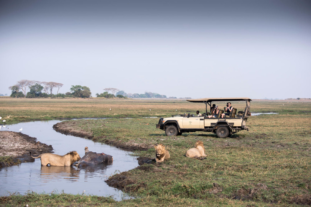 Ultimate Kafue National Park Safari
