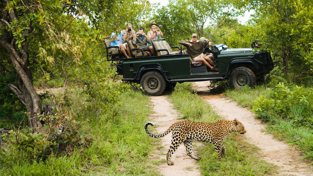 Radisson Safari Hotel & Ndzhaka Combo Safari