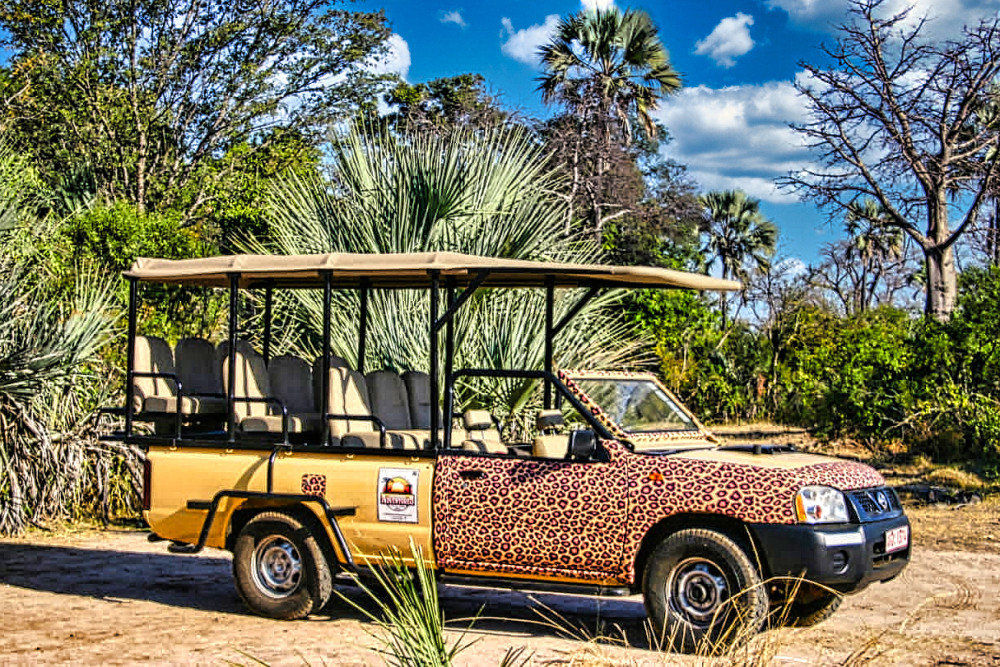 Victoria Falls Town Safari Drive in 4x4 Jeep
