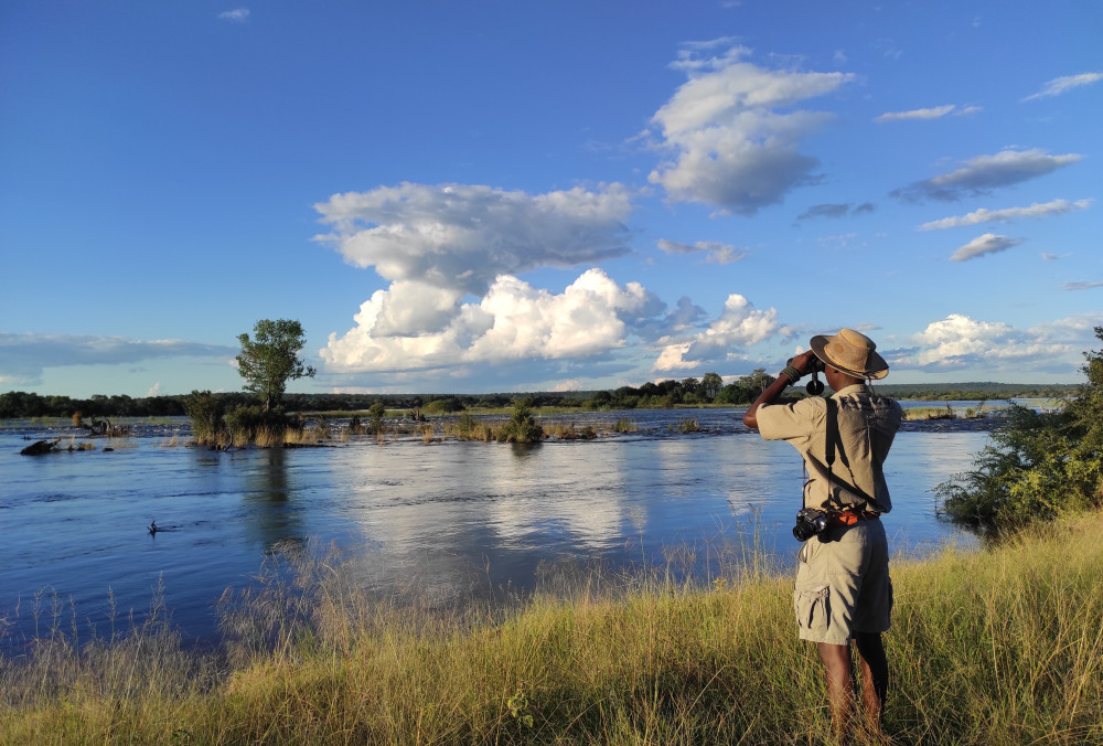 Safari Game Drive Zambezi National Park, 3 Hours