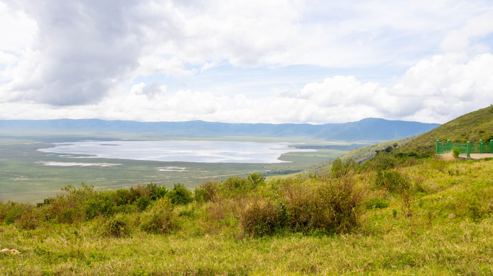 Kenya and Tanzania Highlights Safari (Mid-Range)