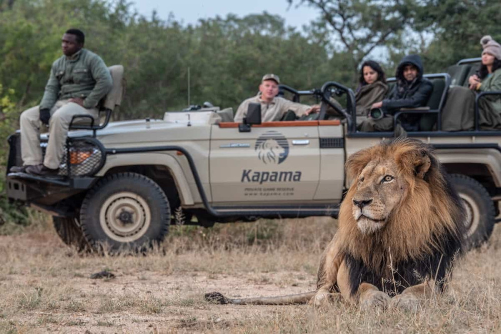 Kapama Karula Camp Fly-in Safari from Cape Town
