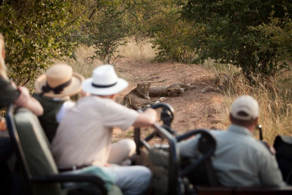 Luxury Lodge, Kruger and Blyde Canyon Experience