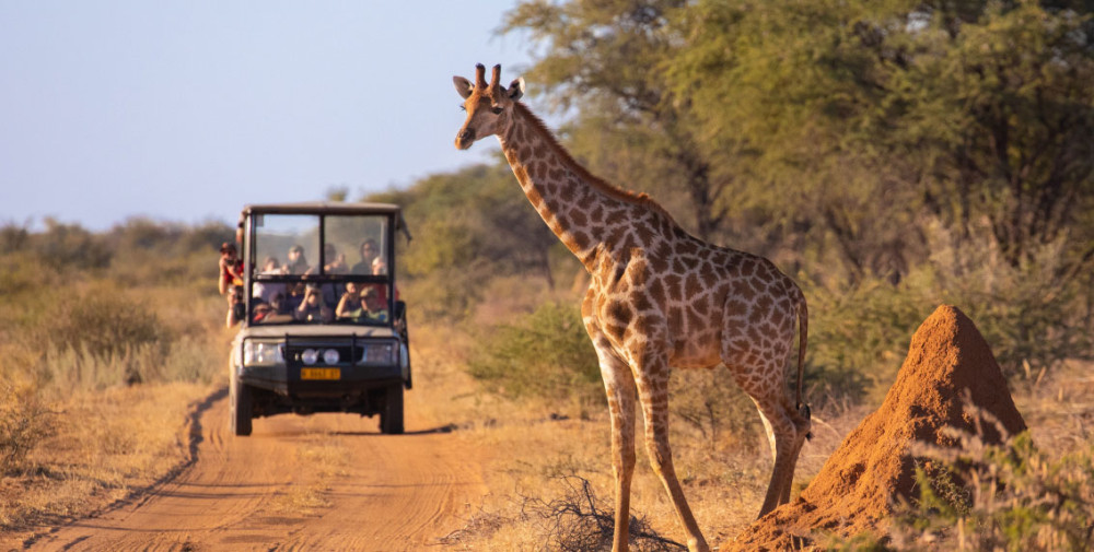 Ivory Moon Luxury Safari Camp in the Kruger