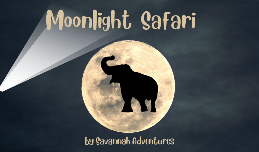 Stargazing+Moonlight Tour near Victoria Falls 2Hrs