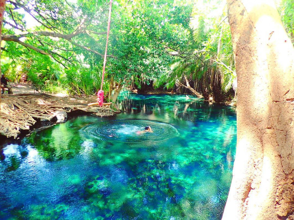 Materuni Waterfalls, Coffee and Hot Springs Tour