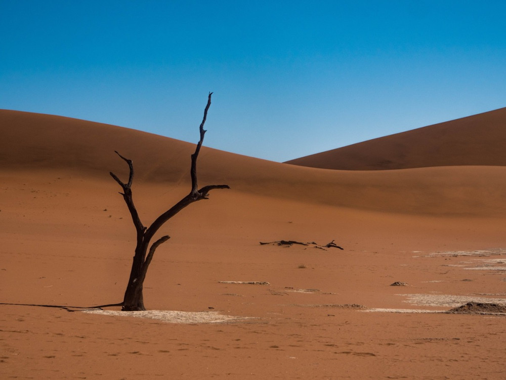 Sossusvlei One-Way Express