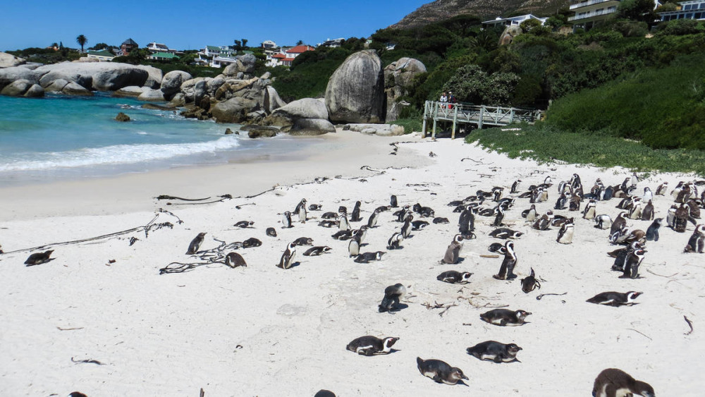 Budget Garden Route & Addo Group Tour