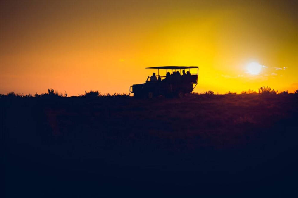 3 Hour Private Game Drive in Pilanesberg