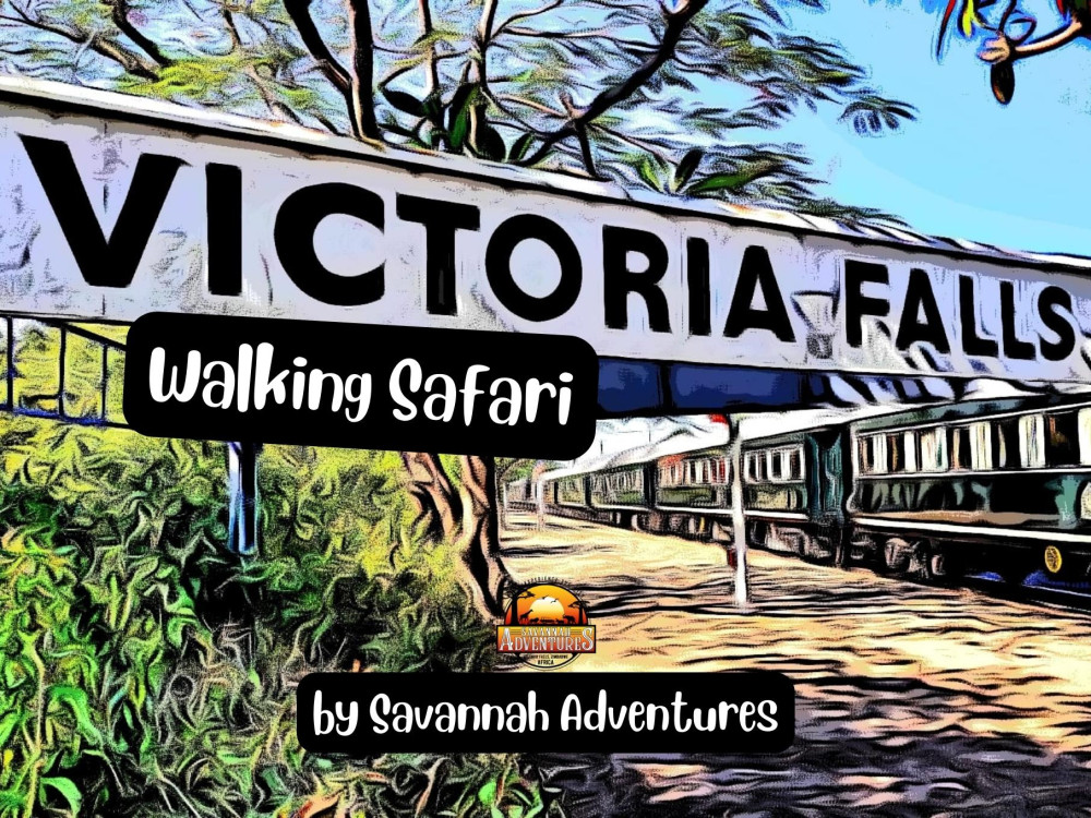 Guided Walking Tour of Victoria Falls Town