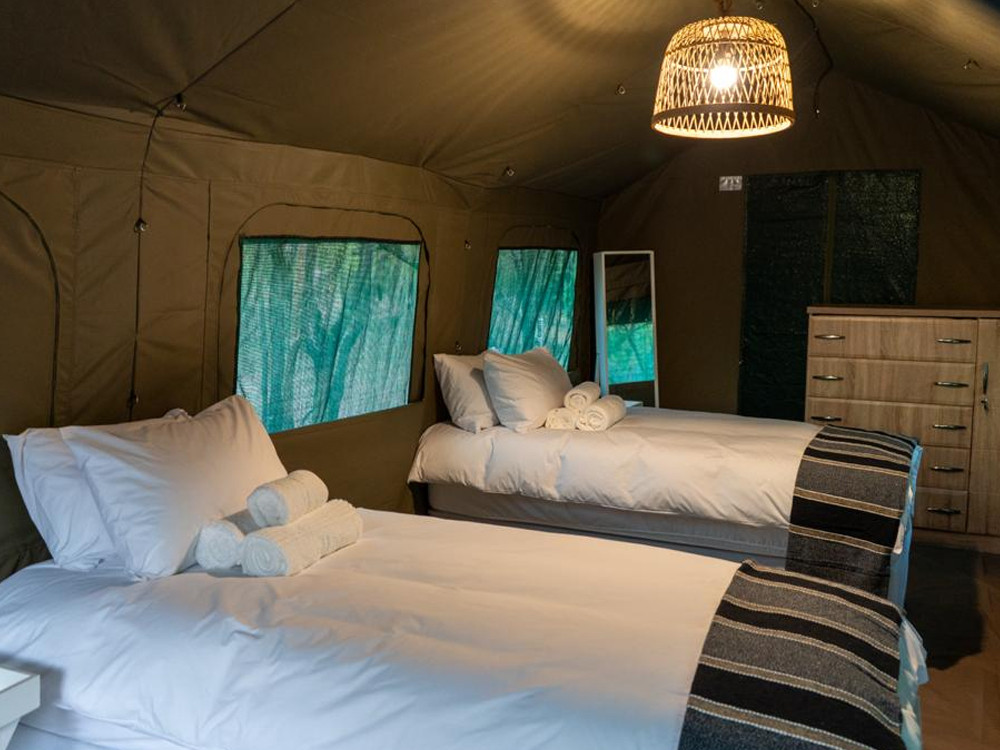 Budget Glamping Kruger Wild Adventure Safari